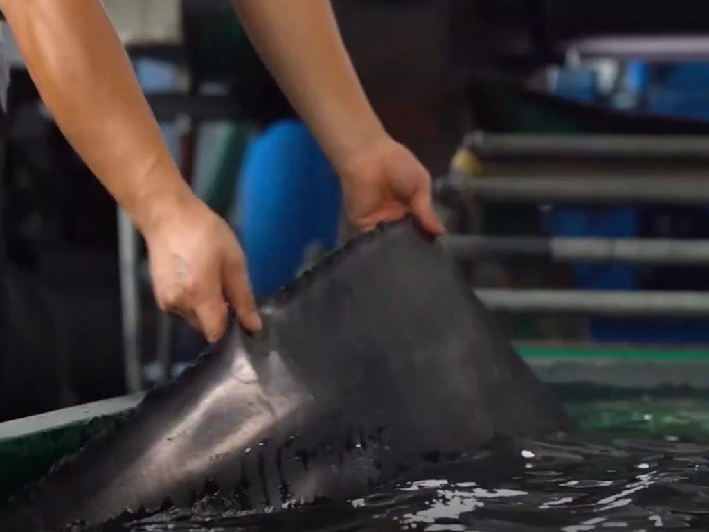 Modern Rubber Industry